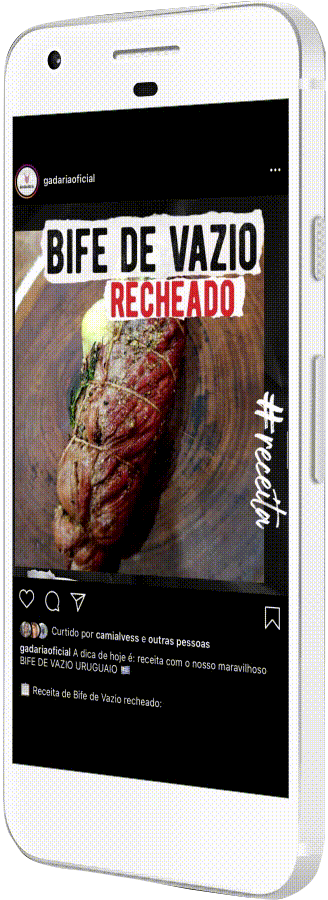 Case_Gadaria celular