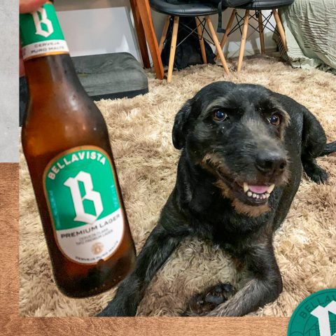 CERVEJARIA BELLAVISTA