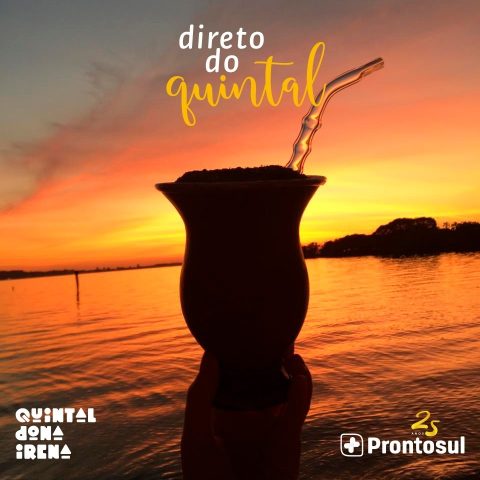 PRONTOSUL