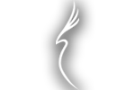 logo_ellegance