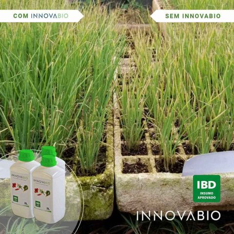 TIMAC AGRO