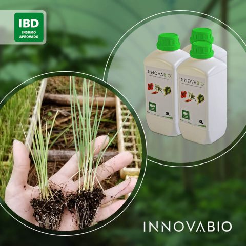 TIMAC AGRO