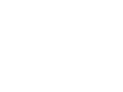 visa_logo_2_web
